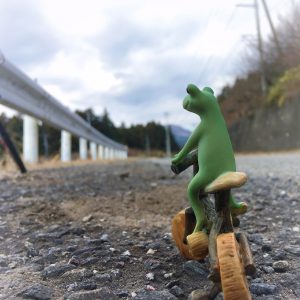 ぽれぽれ,ポレポレ,サイクリング,カエル,コポー,自転車,クロスバイク,ロードバイク,女性,女