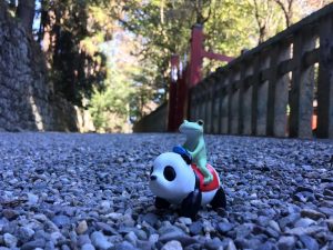 コポー,こぽたろう,コポタロウ,コポー写真部,ぬいどり,貫前神社,御朱印,自転車,クロスバイク,ロードバイク,女性