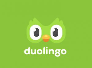 デュオリンゴ,duolingo,英語,初心者,中年